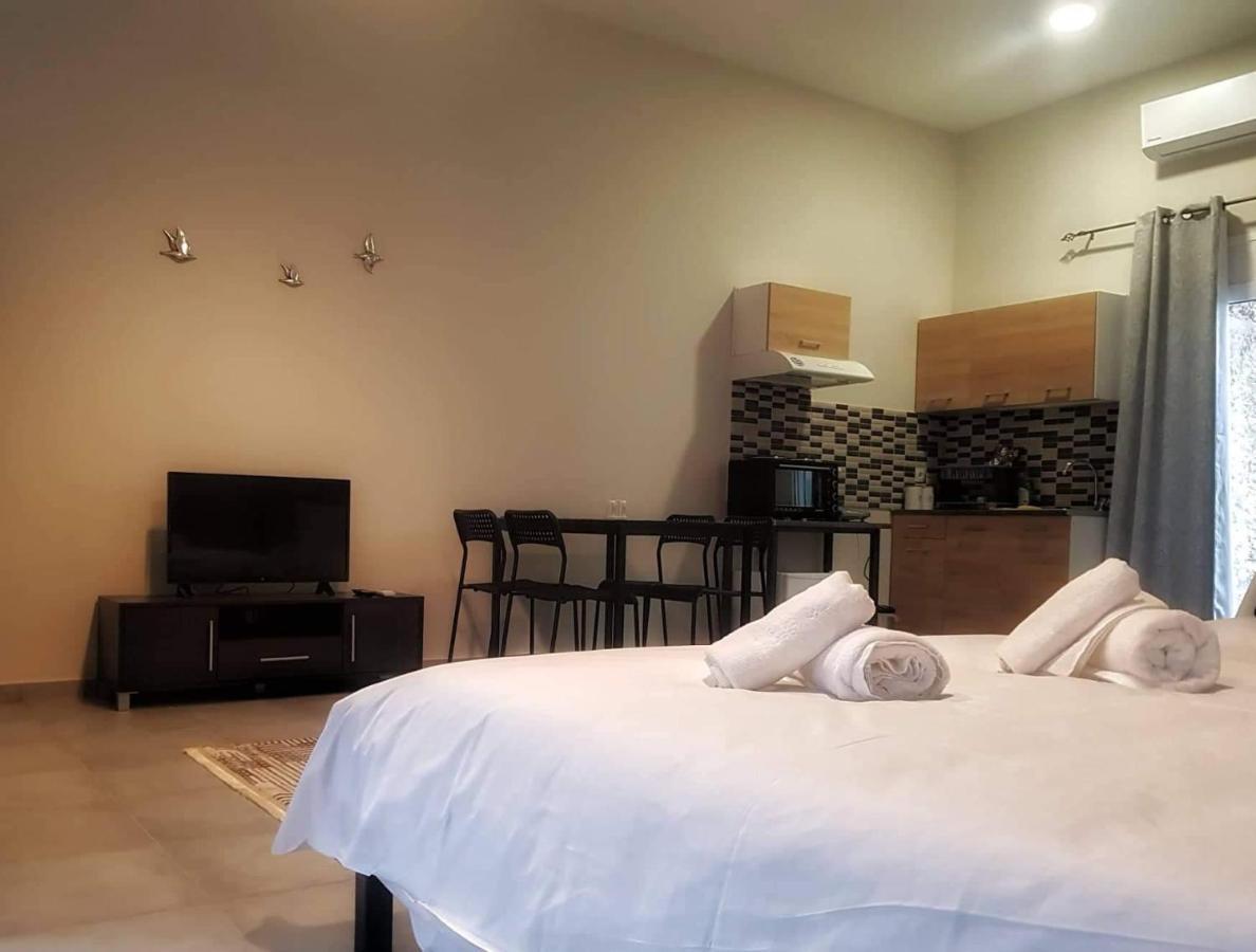 卡兰巴卡Meteora House- Cozy Living公寓 外观 照片